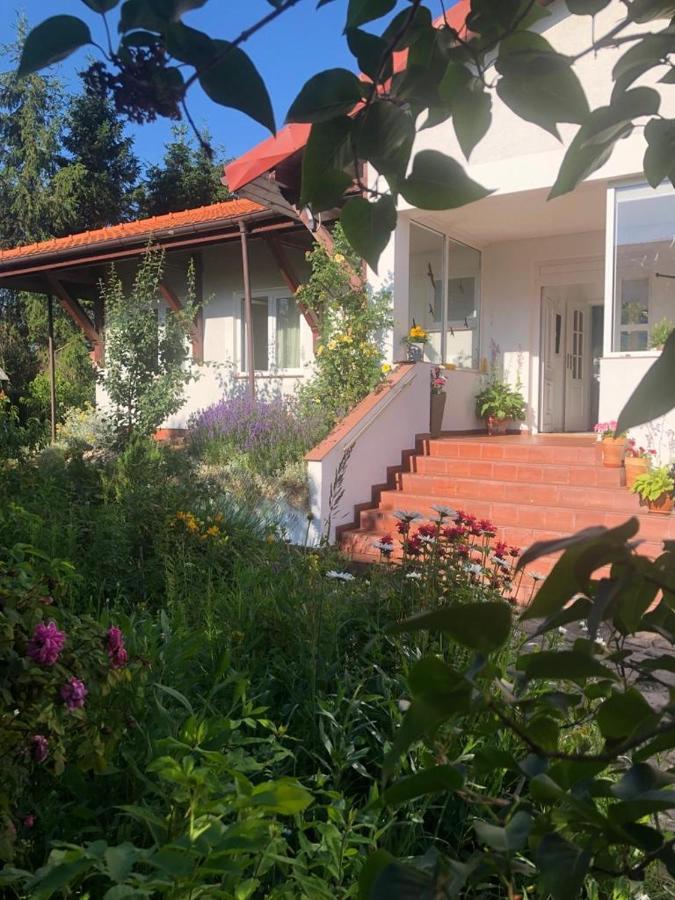 Dom Natura Grzybowo  Εξωτερικό φωτογραφία